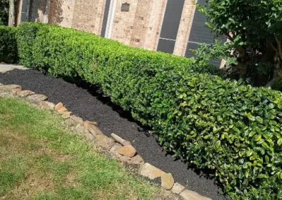 Reliable Residential Landscaping