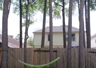 Tree Trimming