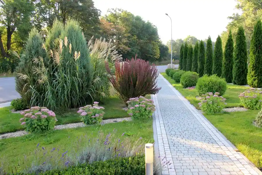Affordable Landscape Maintenance Conroe, TX Affordable Landscape Maintenance Conroe, TX