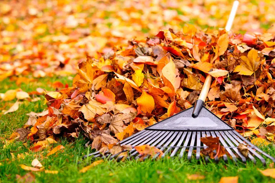 Challenges Of Leaf Removal On Sloped Properties in Conroe, TX Challenges Of Leaf Removal On Sloped Properties in Conroe, TX