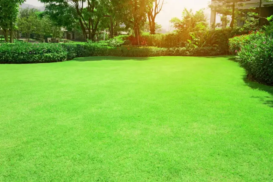 Choosing The Right Maintenance Schedule For Lawns Conroe, TX Choosing The Right Maintenance Schedule For Lawns Conroe, TX