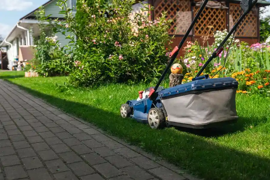 Excellent Landscape Maintenance Conroe, TX Excellent Landscape Maintenance Conroe, TX