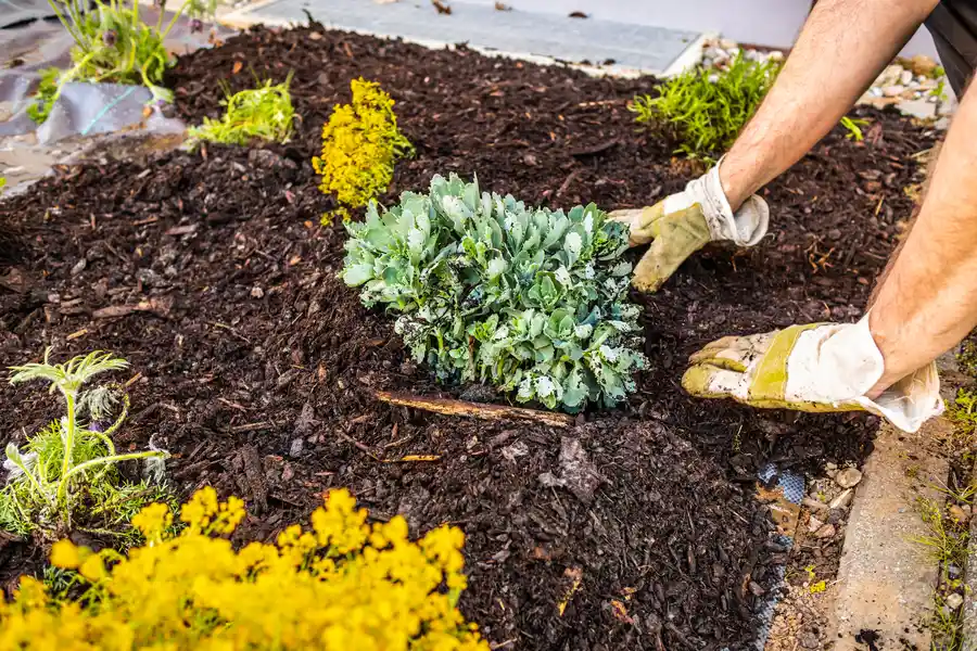 Expert Mulching Services Conroe, TX Expert Mulching Services Conroe, TX