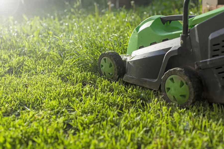 Lawn Mowing Tips To Enhance Curb Appeal And Value in Conroe, TX Lawn Mowing Tips To Enhance Curb Appeal And Value in Conroe, TX