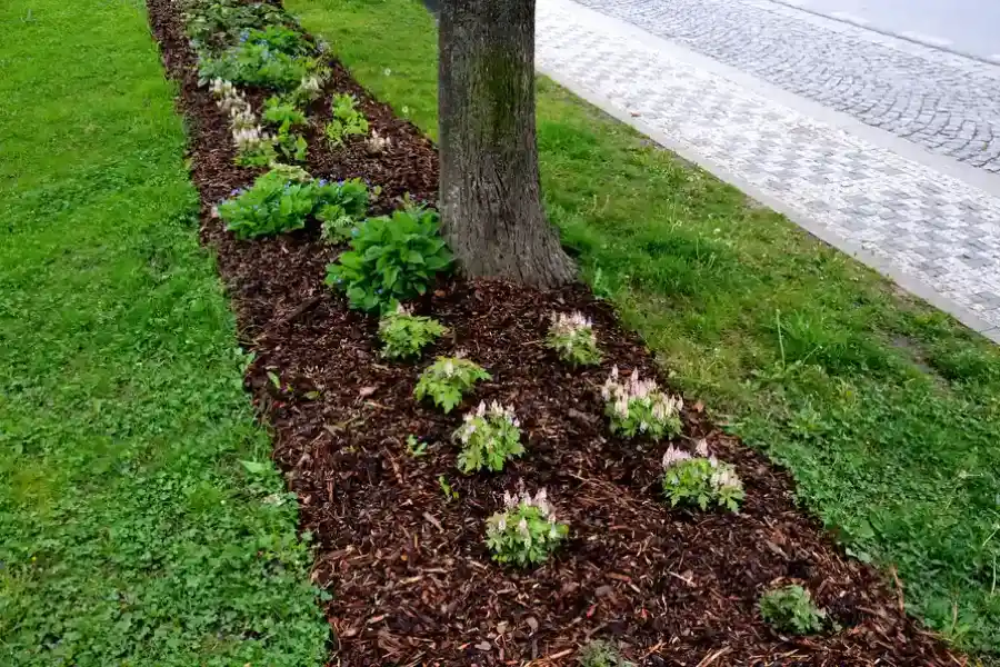 Local Mulching Services Conroe, TX Local Mulching Services Conroe, TX
