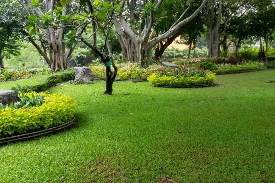 Premium Landscape Maintenance Conroe, TX Premium Landscape Maintenance Conroe, TX