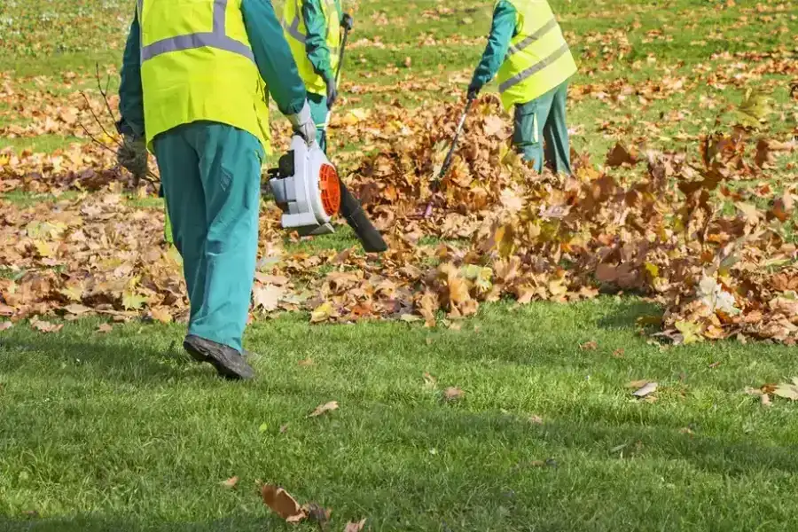 Professional Leaf Removal Conroe, TX Professional Leaf Removal Conroe, TX