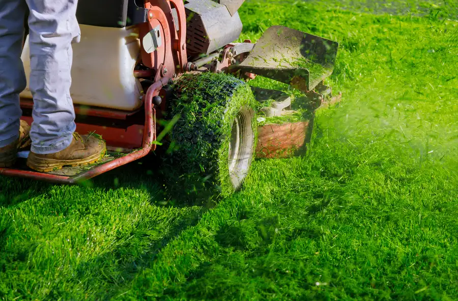 Quality Lawn Mowing Conroe, TX Quality Lawn Mowing Conroe, TX