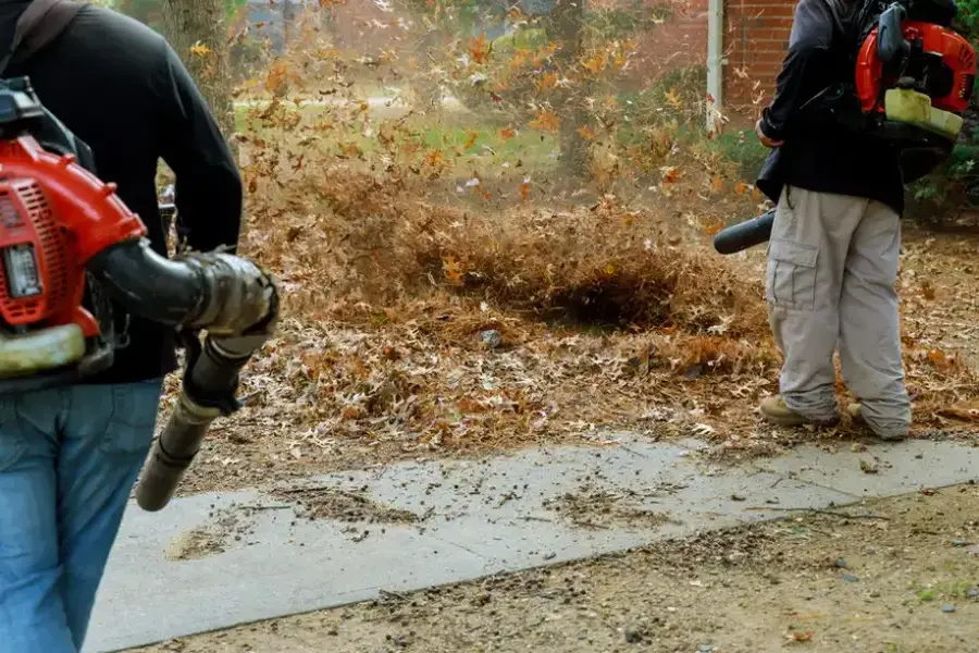 Reputable Leaf Removal Conroe, TX Reputable Leaf Removal Conroe, TX