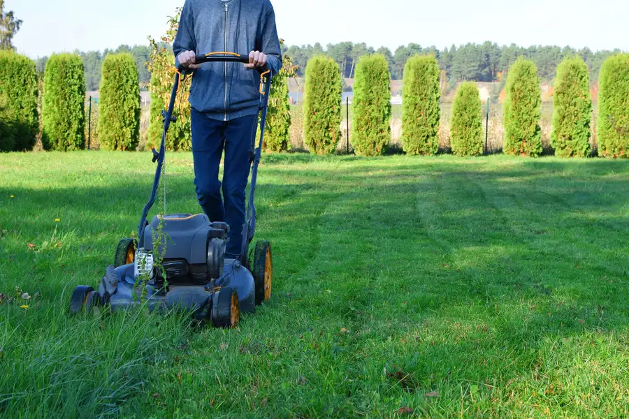 The Impact Of Grass Height On Lawn Health And Aesthetics Conroe, TX The Impact Of Grass Height On Lawn Health And Aesthetics Conroe, TX