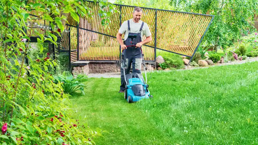 Top-rated Lawn Mowing Conroe, TX Top-rated Lawn Mowing Conroe, TX