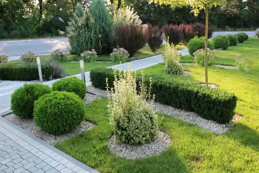 Why Drainage Matters In Landscape Maintenance in Conroe, TX Why Drainage Matters In Landscape Maintenance in Conroe, TX